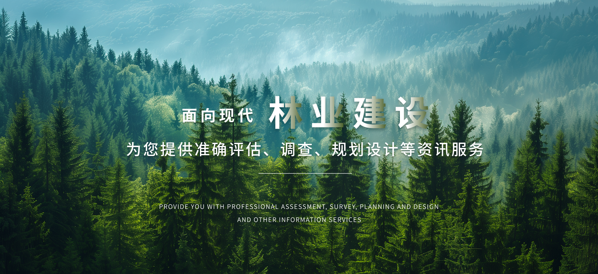 林業(yè)建設(shè)