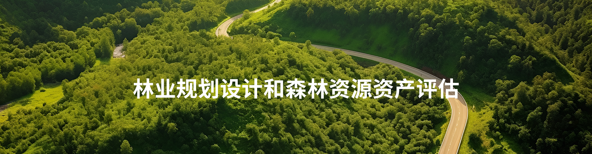 森林資源評估中如何整合多源數據？